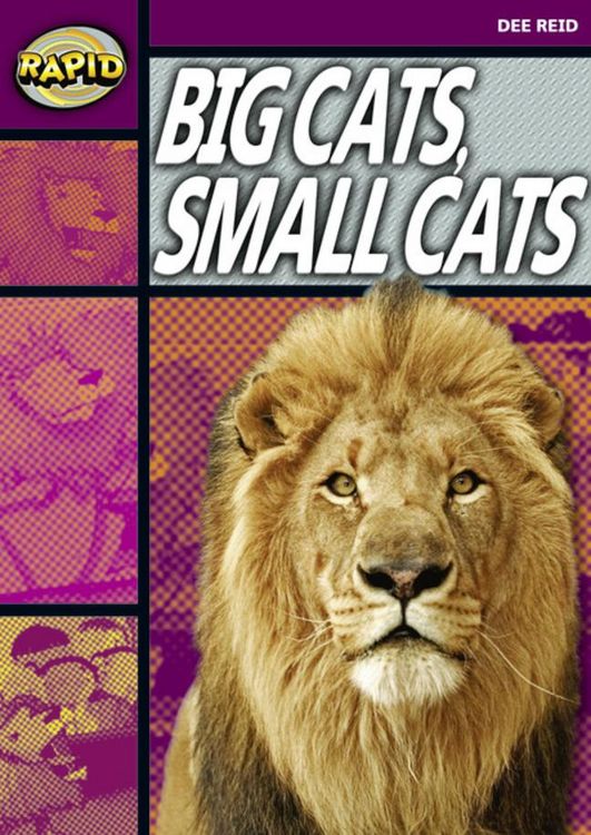 Produktbild: Rapid Reading: Big Cats Small Cats (Stage 1, Level 1a)