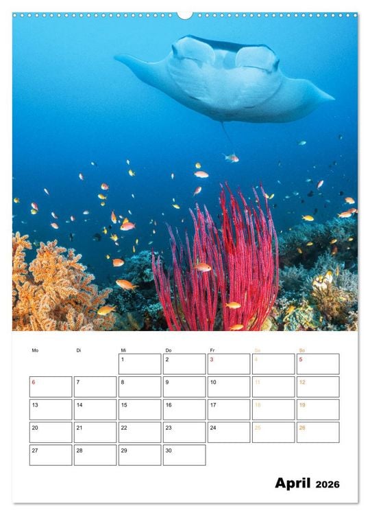 Produktbild: Farbrausch unter Wasser: Fische am Riff (hochwertiger Premium Wandkalender 2026 DIN A2 hoch), Kunstdruck in Hochglanz