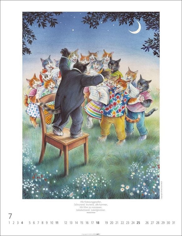 Produktbild: Schnurren und Kratzen - Bilder von Katzen Kalender 2027