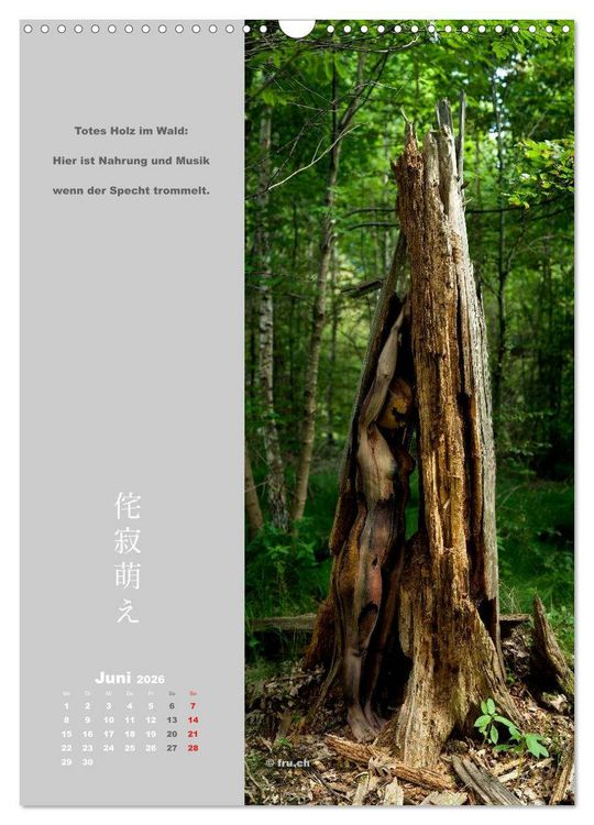 Produktbild: wabi sabi moe &mdash; bewundernswert verg&auml;nglich erotisch &mdash; Akt/Bodypainting (Wandkalender 2026 DIN A3 hoch), CALVENDO Monatskalender