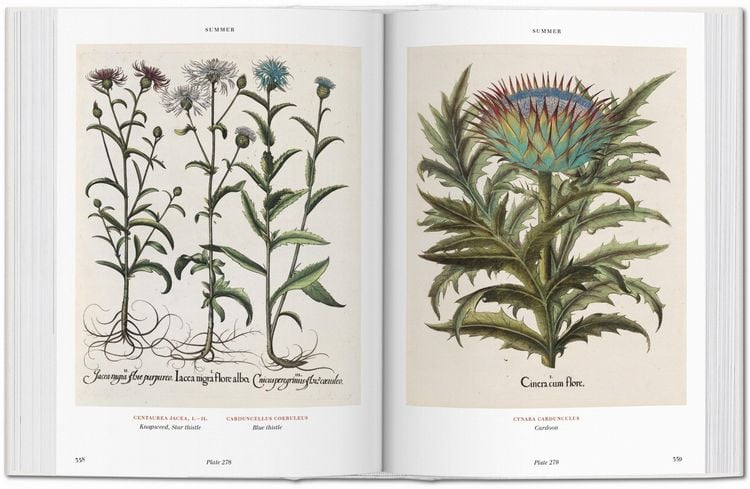 Produktbild: Basilius Besler