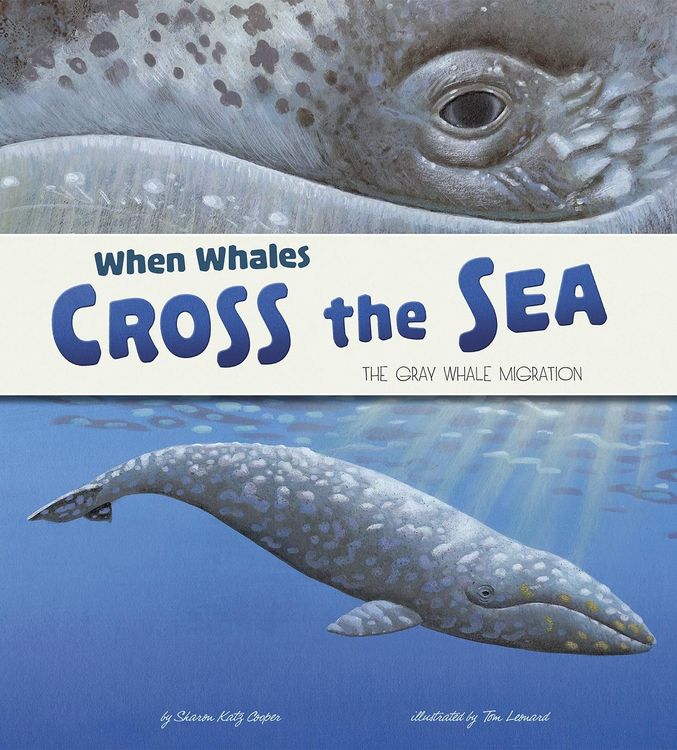 Produktbild: When Whales Cross the Sea