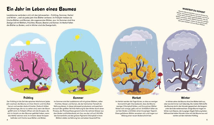 Produktbild: Das kleine Buch der B&auml;ume