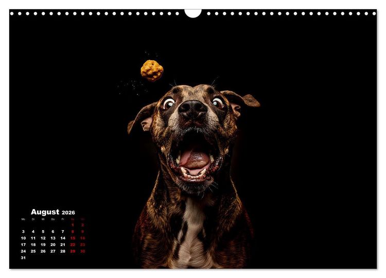 Produktbild: Leckerchen! (Wandkalender 2026 DIN A3 quer), CALVENDO Monatskalender