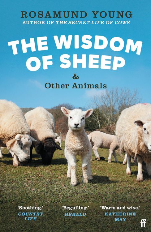 Produktbild: The Wisdom of Sheep & Other Animals