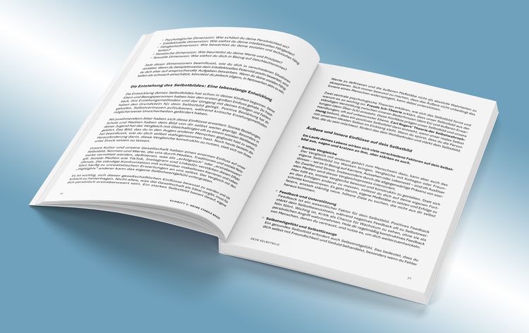 Produktbild: Der 5-Schritte-Plan zur individuellen Karrieregestaltung