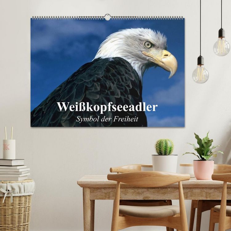 Produktbild: Wei&szlig;kopfseeadler. Symbol der Freiheit (Wandkalender 2026 DIN A2 quer), CALVENDO Monatskalender