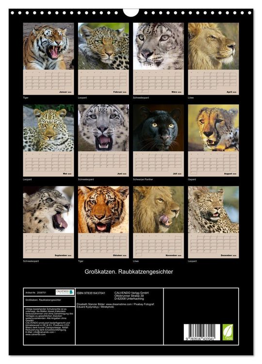 Produktbild: Gro&szlig;katzen. Raubkatzengesichter (Wandkalender 2026 DIN A3 hoch), CALVENDO Monatskalender