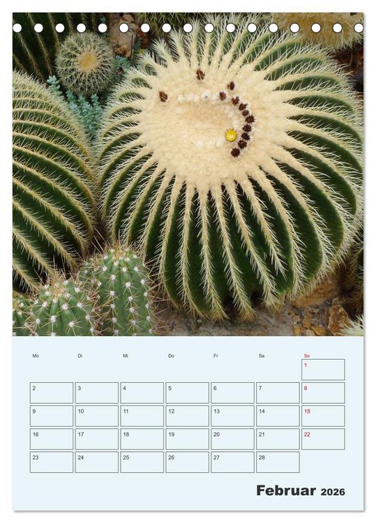 Produktbild: Wehrhafte Sukkulenten (Tischkalender 2026 DIN A5 hoch), CALVENDO Monatskalender