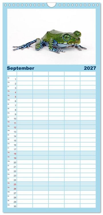 Produktbild: Familienplaner 2027 - Farbenpracht der Fr&ouml;sche mit 5 Spalten (Wandkalender, 21 x 45 cm) CALVENDO