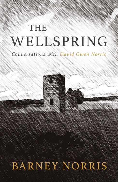 Produktbild: The Wellspring
