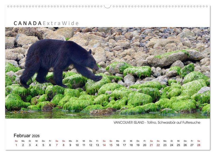 Produktbild: Vancouver Island Panoramabilder (Wandkalender 2026 DIN A2 quer), CALVENDO Monatskalender