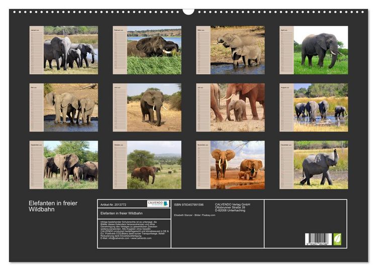 Produktbild: Elefanten in freier Wildbahn (Wandkalender 2026 DIN A2 quer), CALVENDO Monatskalender