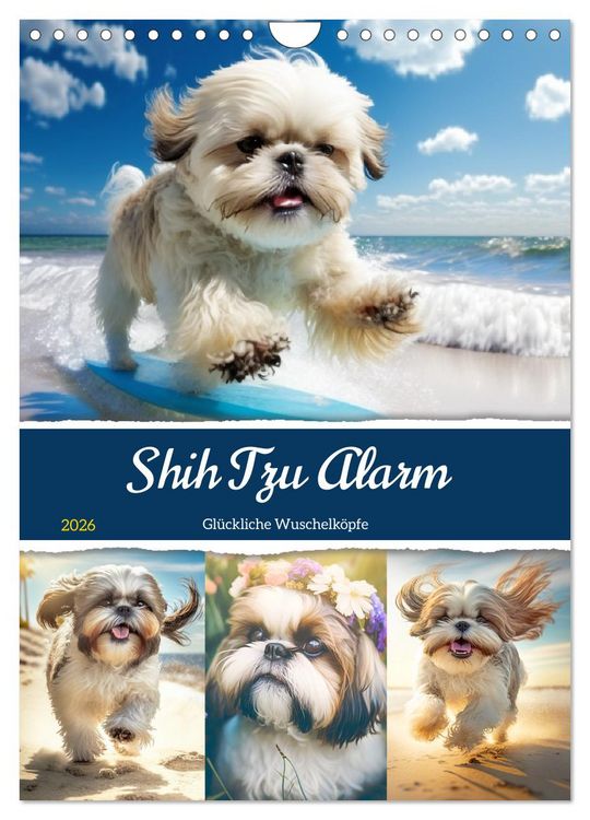 Produktbild: Shih Tzu Alarm. Gl&uuml;ckliche Wuschelk&ouml;pfe (Wandkalender 2026 DIN A4 hoch), CALVENDO Monatskalender