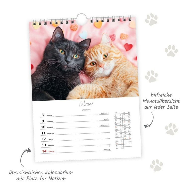 Produktbild: TR&Ouml;TSCH - Wochenkalender zum H&auml;ngen Katzen 2027