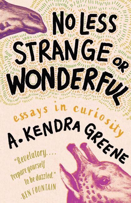 Produktbild: No Less Strange or Wonderful