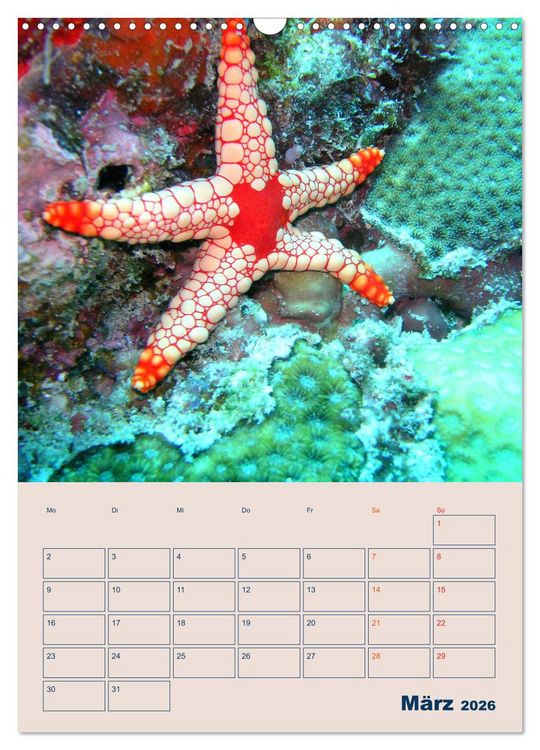Produktbild: Mahe - Inselparadies der Seychellen (Wandkalender 2026 DIN A3 hoch), CALVENDO Monatskalender