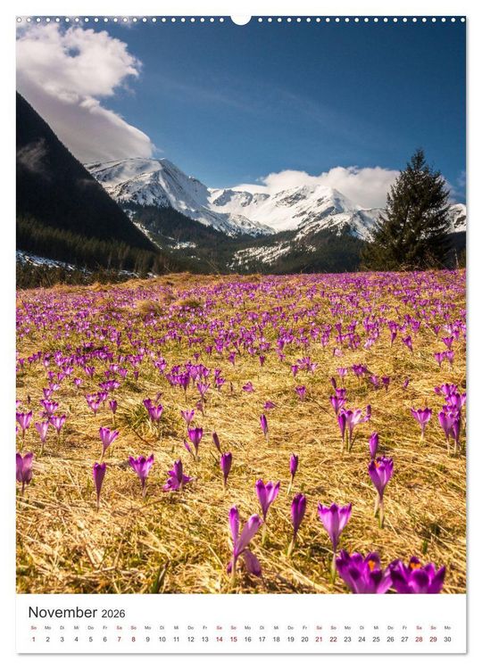 Produktbild: Polen - Eine Reise in eine wundersch&ouml;ne Natur. (hochwertiger Premium Wandkalender 2026 DIN A2 hoch), Kunstdruck in Hochglanz