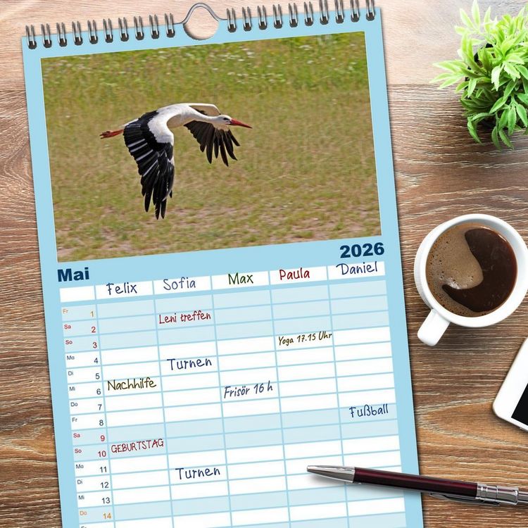 Produktbild: Familienplaner 2026 - V&ouml;gel im Flug - Akrobaten der L&uuml;fte mit 5 Spalten (Wandkalender, 21 x 45 cm) CALVENDO