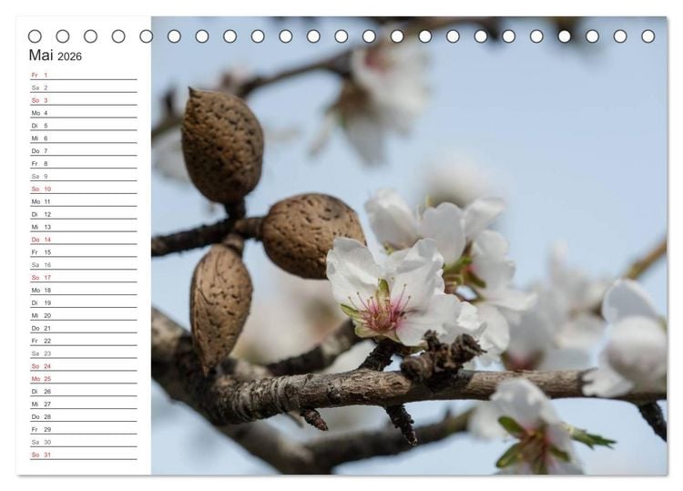 Produktbild: Emotionale Momente: Mandeln (Tischkalender 2026 DIN A5 quer), CALVENDO Monatskalender
