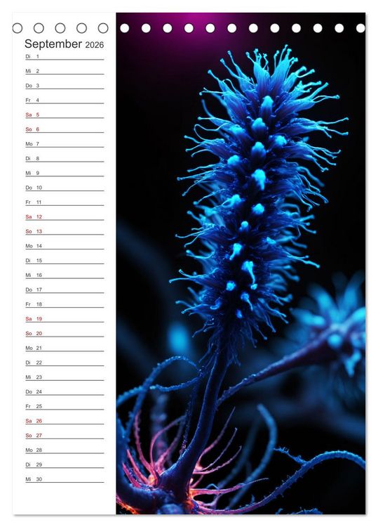 Produktbild: Leuchtende Mikroflora (Tischkalender 2026 DIN A5 hoch), CALVENDO Monatskalender