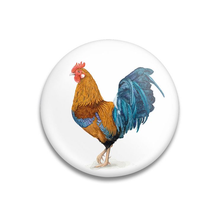Produktbild: Dekomagnet Royal Rooster