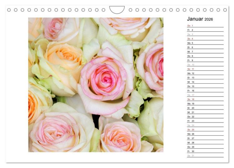 Produktbild: Die vielen Gesichter der Rosen (Wandkalender 2026 DIN A4 quer), CALVENDO Monatskalender
