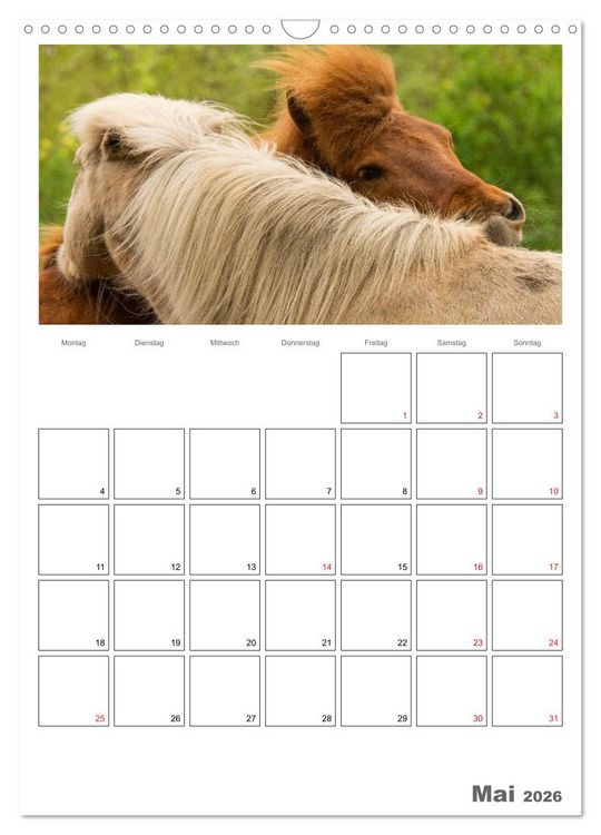 Produktbild: Pferde - Kameraden mit vier Hufen (Wandkalender 2026 DIN A3 hoch), CALVENDO Monatskalender