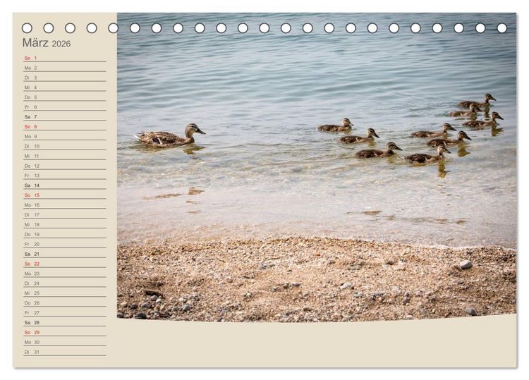 Produktbild: Gardasee - Manerba del Garda (Tischkalender 2026 DIN A5 quer), CALVENDO Monatskalender
