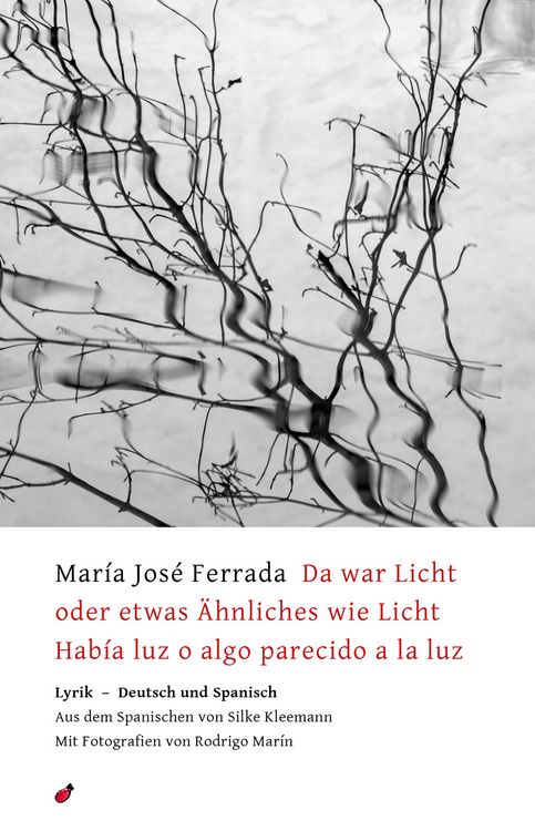 Produktbild: Da war Licht oder etwas &Auml;hnliches wie Licht / Hab&iacute;a luz o algo parecido a la luz