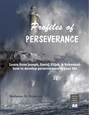Produktbild: Profiles of Perseverance