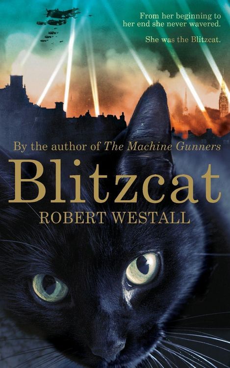Produktbild: Blitzcat
