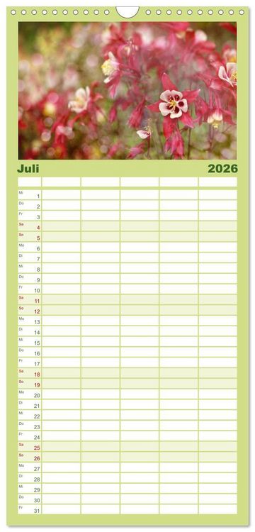 Produktbild: Familienplaner 2026 - 12 Farben Kunst und K&uuml;che mit 5 Spalten (Wandkalender, 21 x 45 cm) CALVENDO