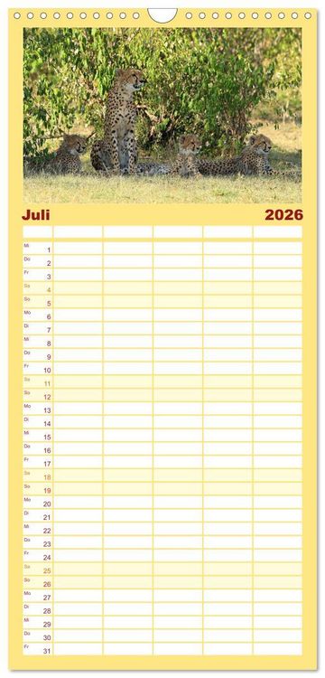 Produktbild: Familienplaner 2026 - Geparden - Begegnungen in Afrika mit 5 Spalten (Wandkalender, 21 x 45 cm) CALVENDO