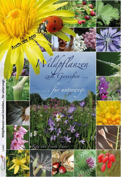 Produktbild: Wildpflanzen zum Genie&szlig;en... f&uuml;r unterwegs