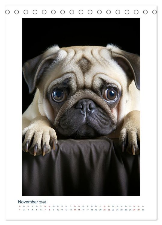Produktbild: Der kleine Mops (Tischkalender 2026 DIN A5 hoch), CALVENDO Monatskalender