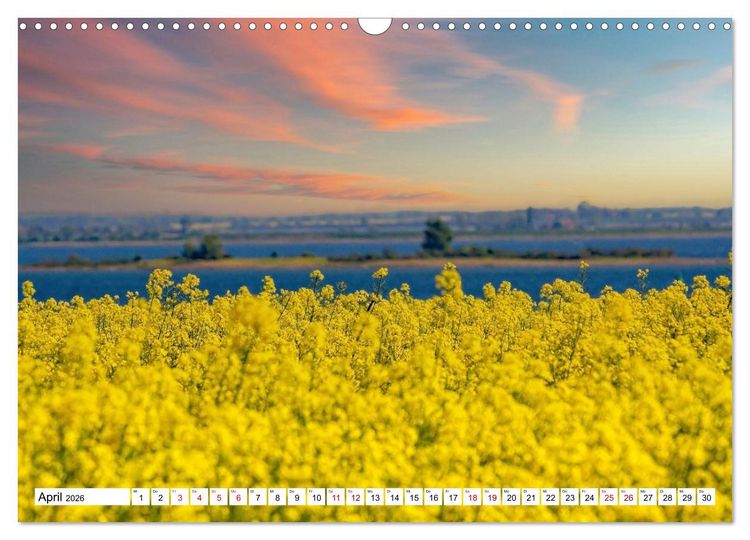 Produktbild: Naturparadies Zierow - Ostsee Idylle pur in der Wismarer Bucht (Wandkalender 2026 DIN A3 quer), CALVENDO Monatskalender