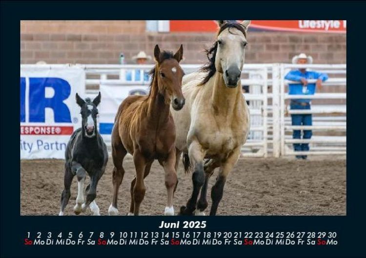 Produktbild: Die Welt der Pferde 2025 Fotokalender DIN A5