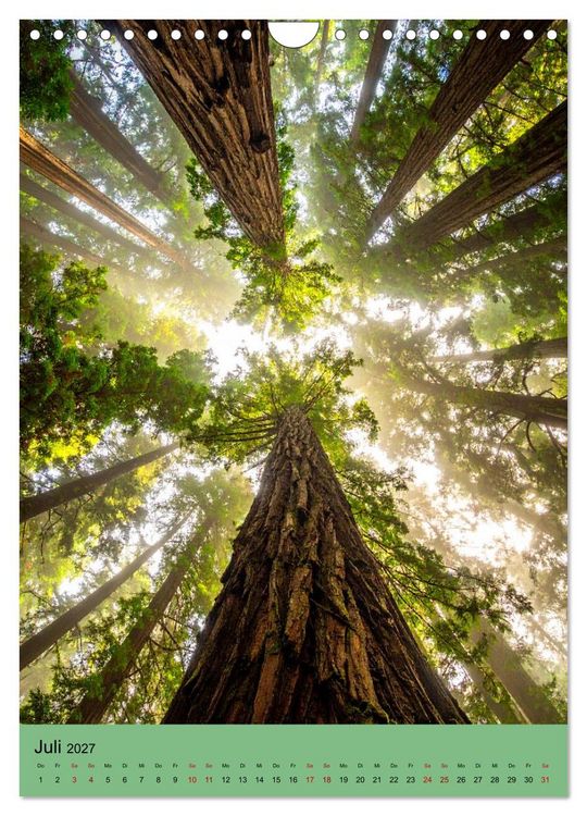 Produktbild: Sequoia Giganten (Wandkalender 2027 DIN A4 hoch), CALVENDO Monatskalender