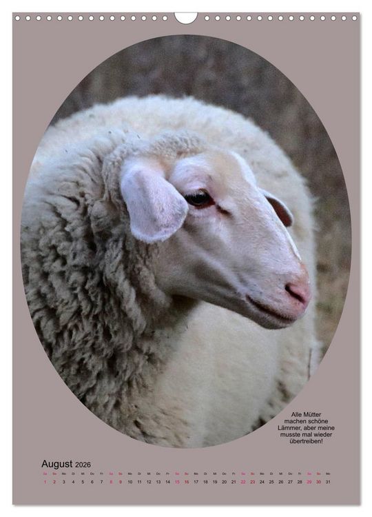 Produktbild: Scharfe Portraits (Wandkalender 2026 DIN A3 hoch), CALVENDO Monatskalender