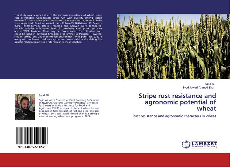 Produktbild: Stripe rust resistance and agronomic potential of wheat
