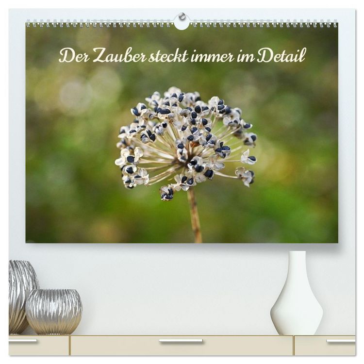 Produktbild: Der Zauber steckt immer im Detail (hochwertiger Premium Wandkalender 2026 DIN A2 quer), Kunstdruck in Hochglanz