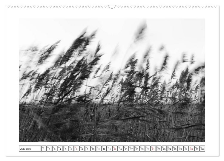 Produktbild: Am Strand von St. Peter-Ording SCHWARZ-WEISS (hochwertiger Premium Wandkalender 2026 DIN A2 quer), Kunstdruck in Hochglanz