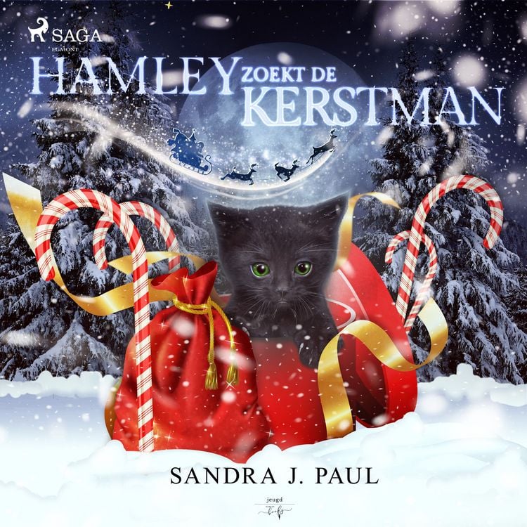 Produktbild: Hamley zoekt de kerstman