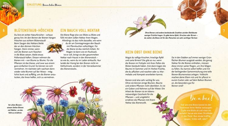 Produktbild: Ein Jahr mit den Bienen