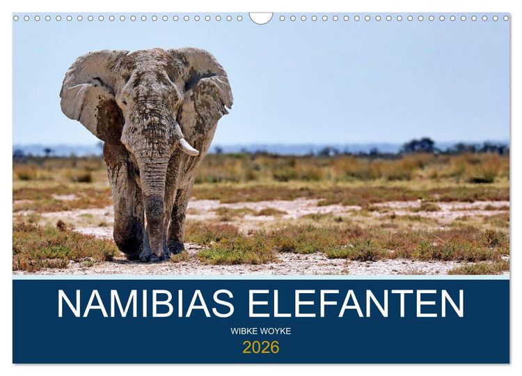 Produktbild: Namibias Elefanten (Wandkalender 2026 DIN A3 quer), CALVENDO Monatskalender