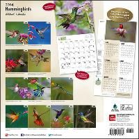 Produktbild: Animal Planet Hummingbirds Calendar