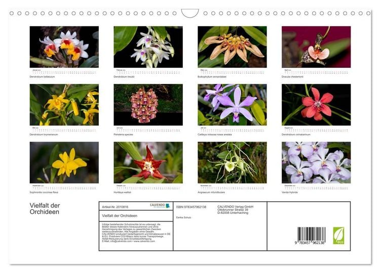 Produktbild: Vielfalt der Orchideen (Wandkalender 2026 DIN A3 quer), CALVENDO Monatskalender