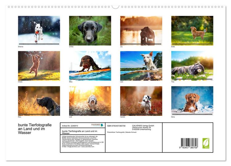 Produktbild: bunte Tierfotografie an Land und im Wasser (hochwertiger Premium Wandkalender 2026 DIN A2 quer), Kunstdruck in Hochglanz