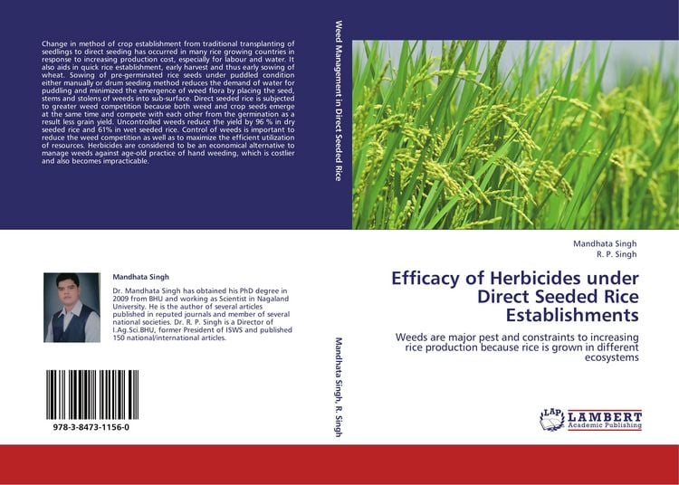 Produktbild: Efficacy of Herbicides under Direct Seeded Rice Establishments